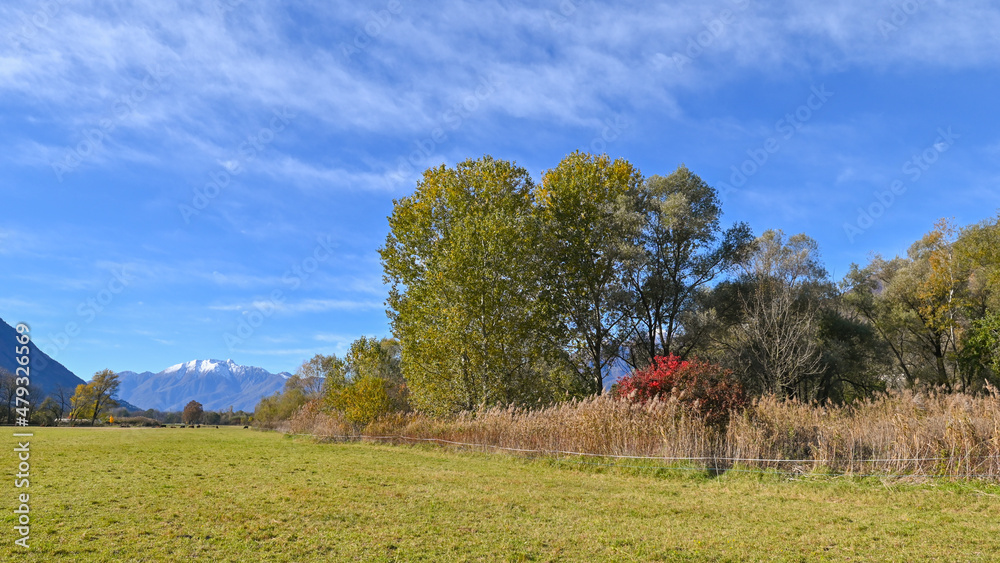 Paesaggio di campagna in autunno, con vista della palude, delle montagne e degli alberi colorati di foglie gialle e rosse