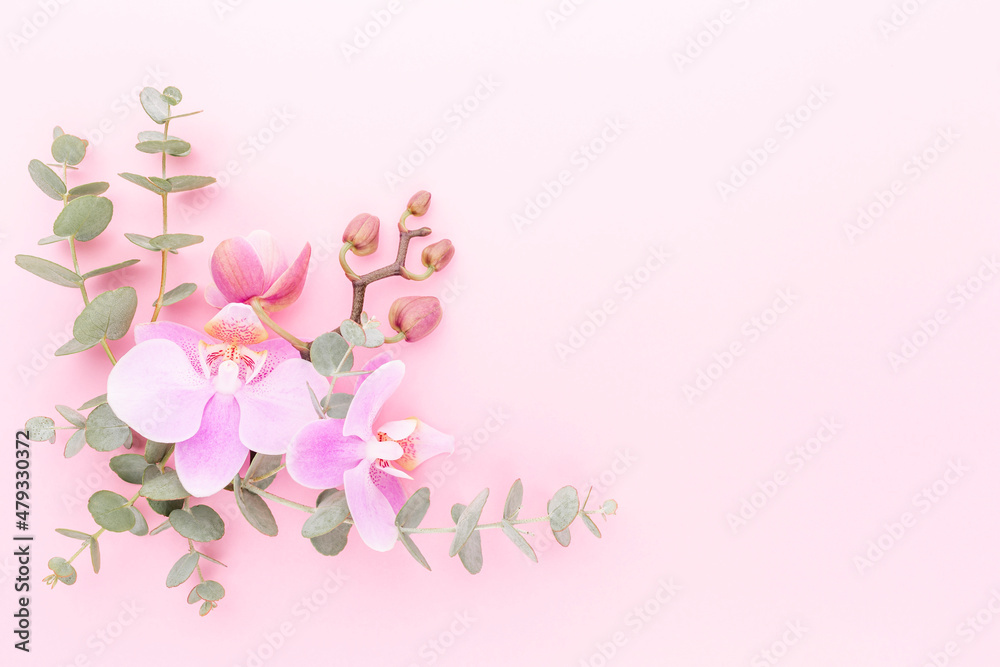 Pink spa orchid theme objects on pastel background.