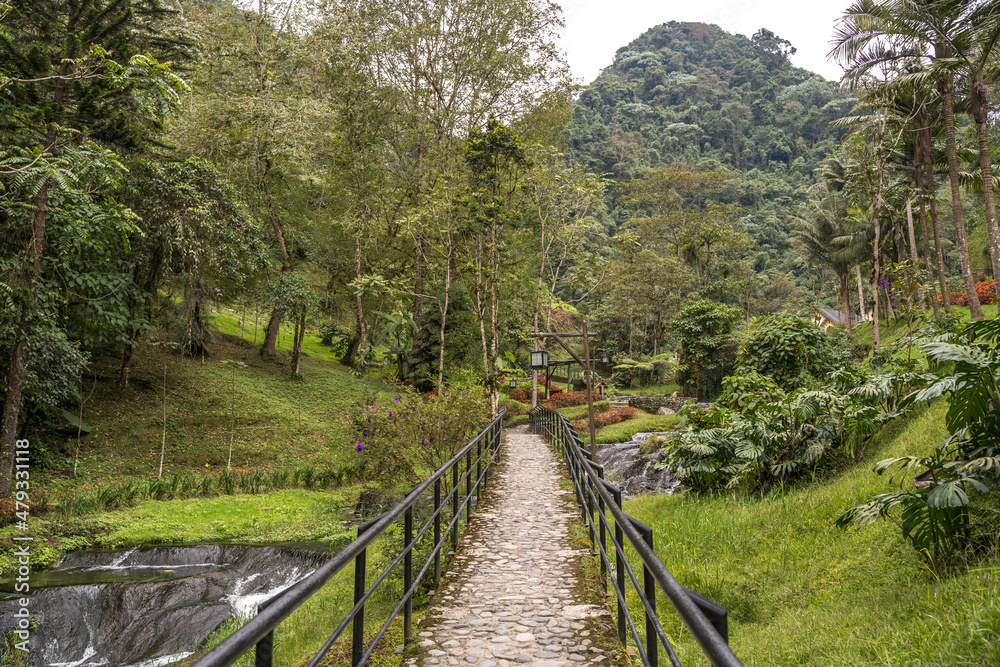 Horizontal view of pathway across green jungle landscape in Colombia. Panoramic view of natural thermal springs in Santa Rosa Cabal valley. Colombia travel destination concept.