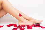 Cropped shot of a young woman's smooth legs after depilation with red rose petals in the foreground isolated on a white background. Laser hair removal