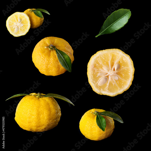 yuzu fruits isolated on a black background  photo