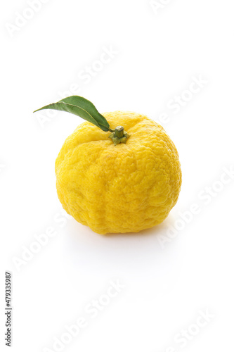 yuzu fruits isolated on a white background 