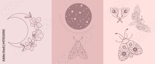 A set of illustrations of moths and a crescent moon