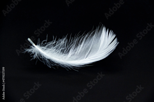 A single white feather isolated on a black background