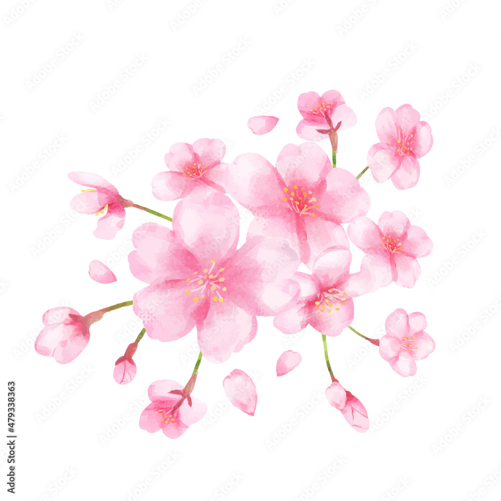 桜 満開 桜 満開