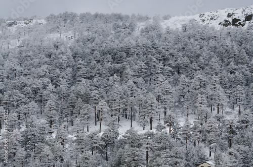 Invierno