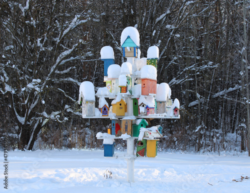 a design for feeding birds among snow-covered trees in the forest in cold winter