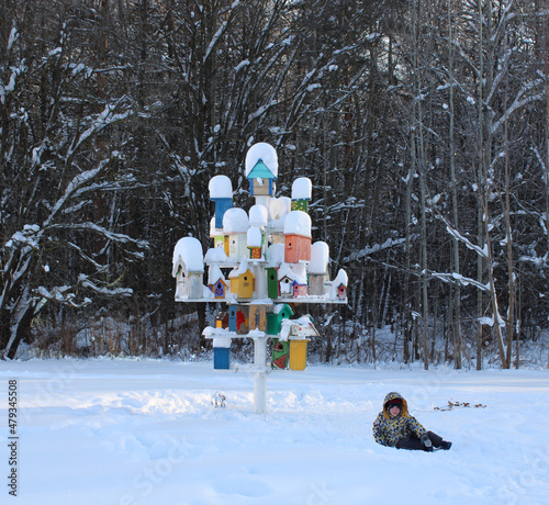 a design for feeding birds among snow-covered trees in the forest in cold winter