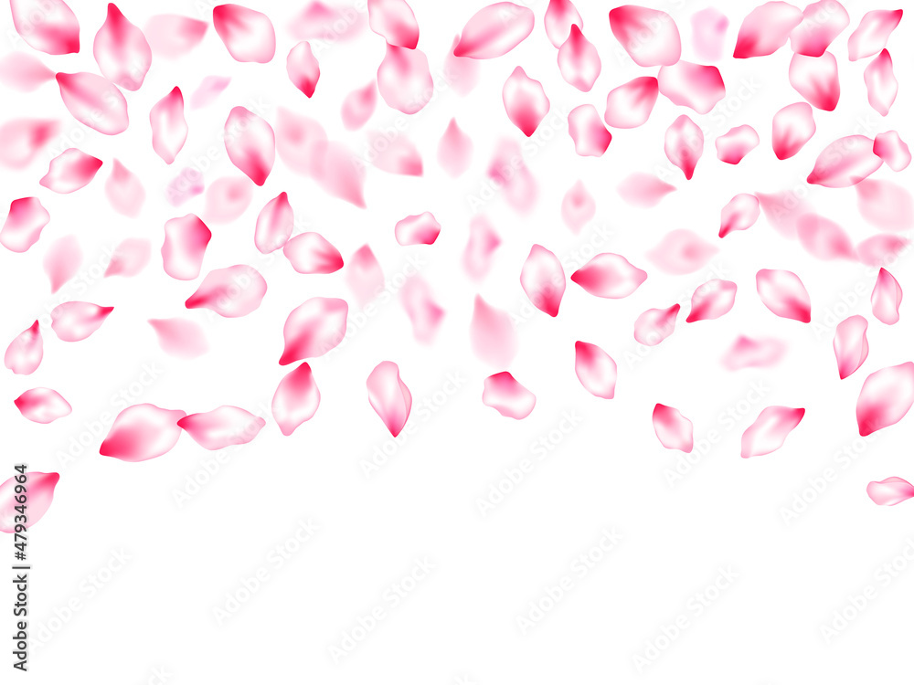 Spring tree flowers parts, airy flying petals Spring tree flowers parts, airy flying petals