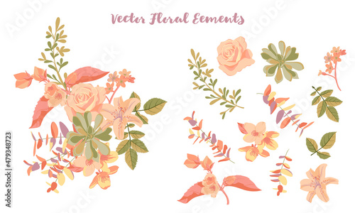 vector drawing composition with flowers and leaves and isolated elements  hand drawn illustration