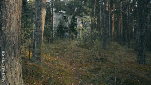 Walking through a pine forest to an abandoned two-story building in a high radiation zone photo