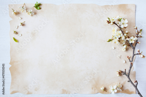 Background with blooming spring branch of cherry plum, paper for text congratulations