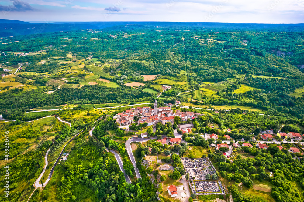 Green Istria landscape and Town of Pican on picturesque hill aerial view