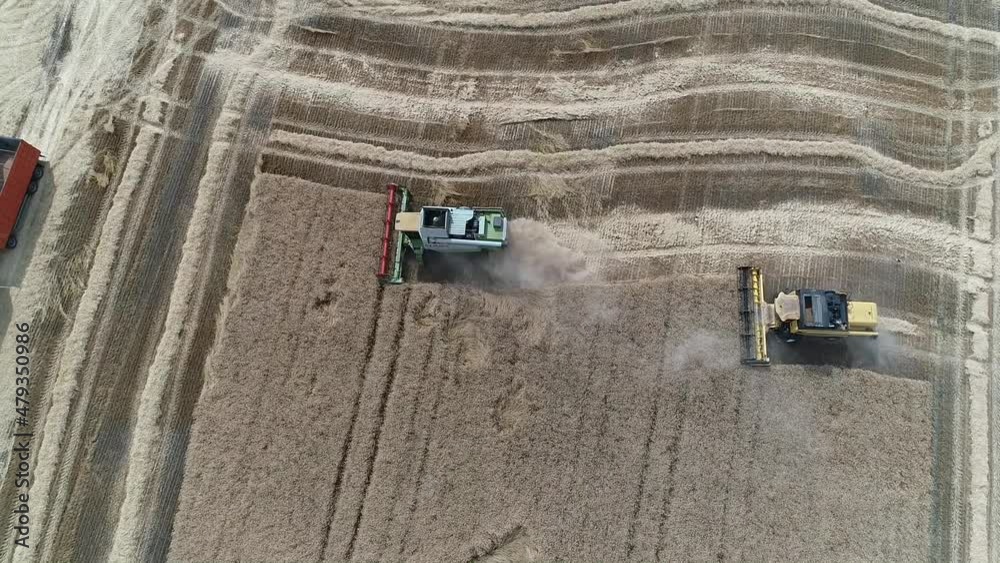 harvesting with a combine harvester in a wheat field harvesting with a combine harvester in a wheat field