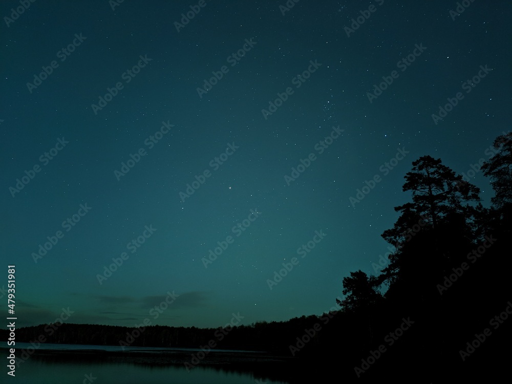 Naklejka premium starry night sky