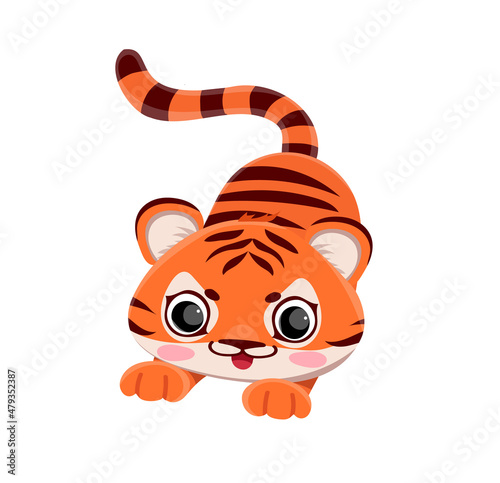 Fototapeta Naklejka Na Ścianę i Meble -  Vector cute tiger cub tiger hunting ready to jump