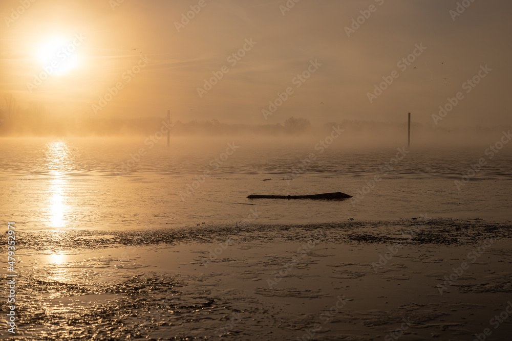 A cold sunrise in the winter over a lake with veils of mist creating a fairy tale environment with a minimalist view and soft colors in Maastricht