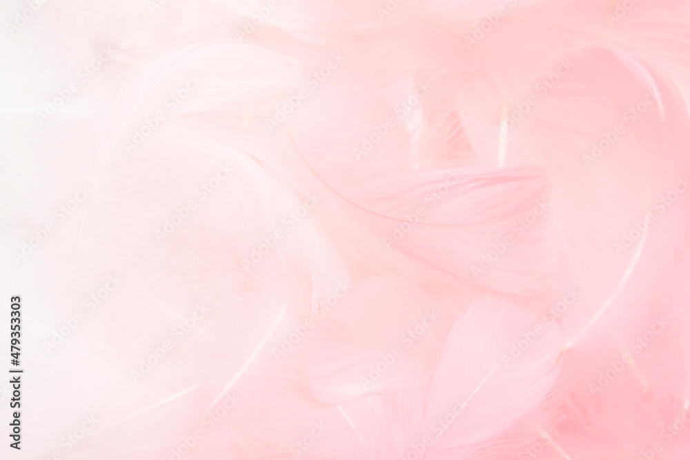 Beautiful Soft Pink Fluffly Feathers Texture Background