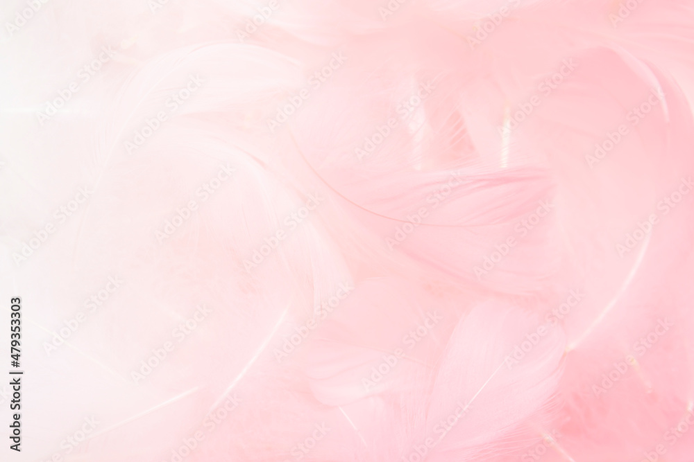 Beautiful Soft Pink Fluffly Feathers Texture Background Beautiful Soft Pink Fluffly Feathers Texture Background