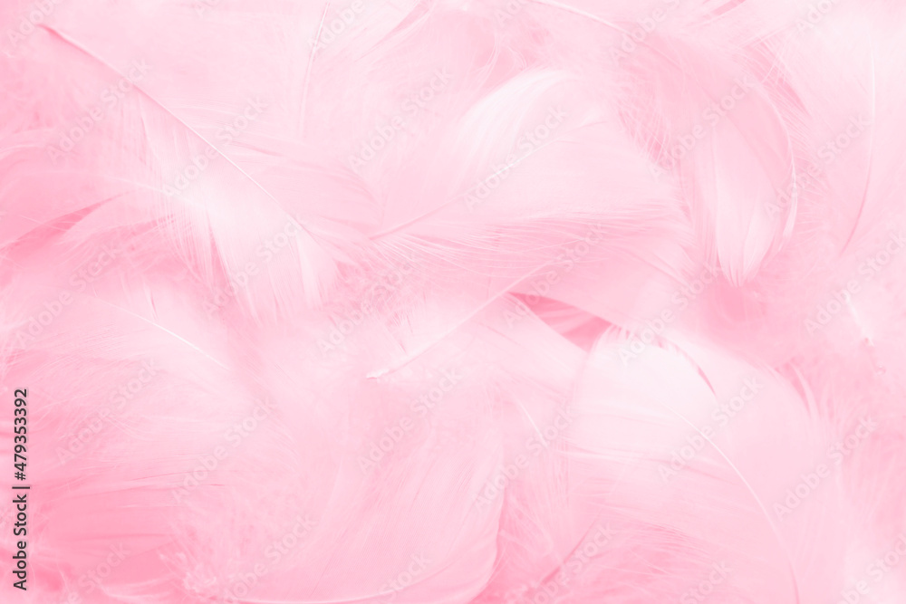 Beautiful Soft Pink Feathers Texture Background Beautiful Soft Pink Feathers Texture Background