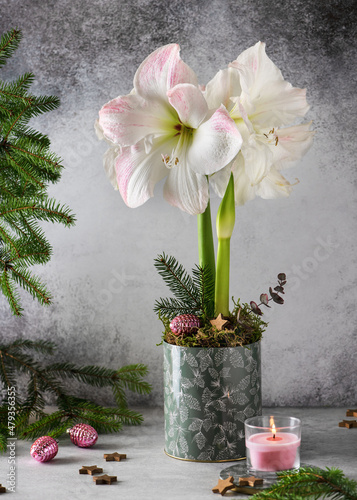 Foto Sill life with pink, white Amaryllis flower in a tin flowerpot and burning candle in a small glass