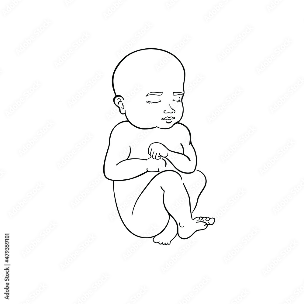 Linear baby illustration. Vector new born baby line art isolated on white. Linear baby illustration. Vector new born baby line art isolated on white.