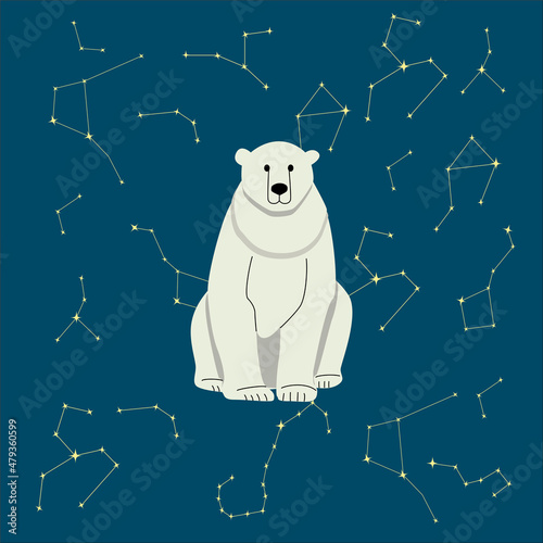 Polar bear, vector illustration. Starry night in the north.