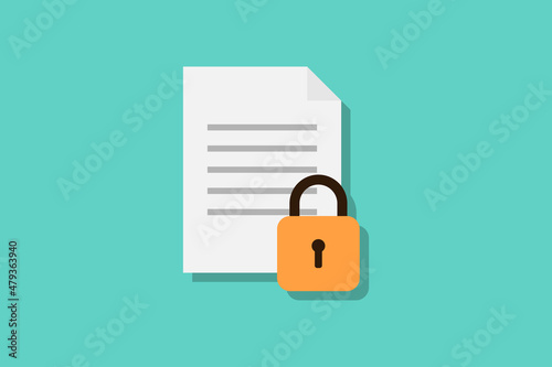 File and padlock icon vector