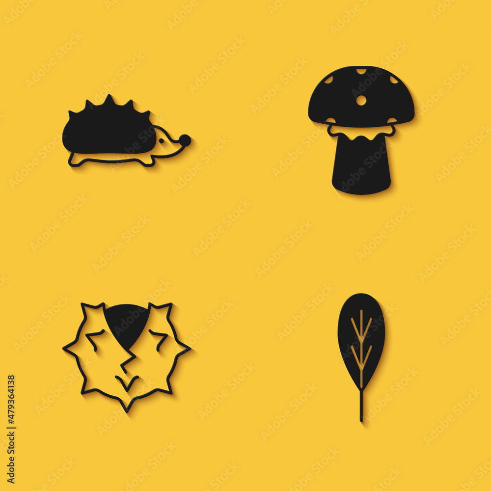 Set Hedgehog, Leaf, Chestnut and Mushroom icon with long shadow. Vector
