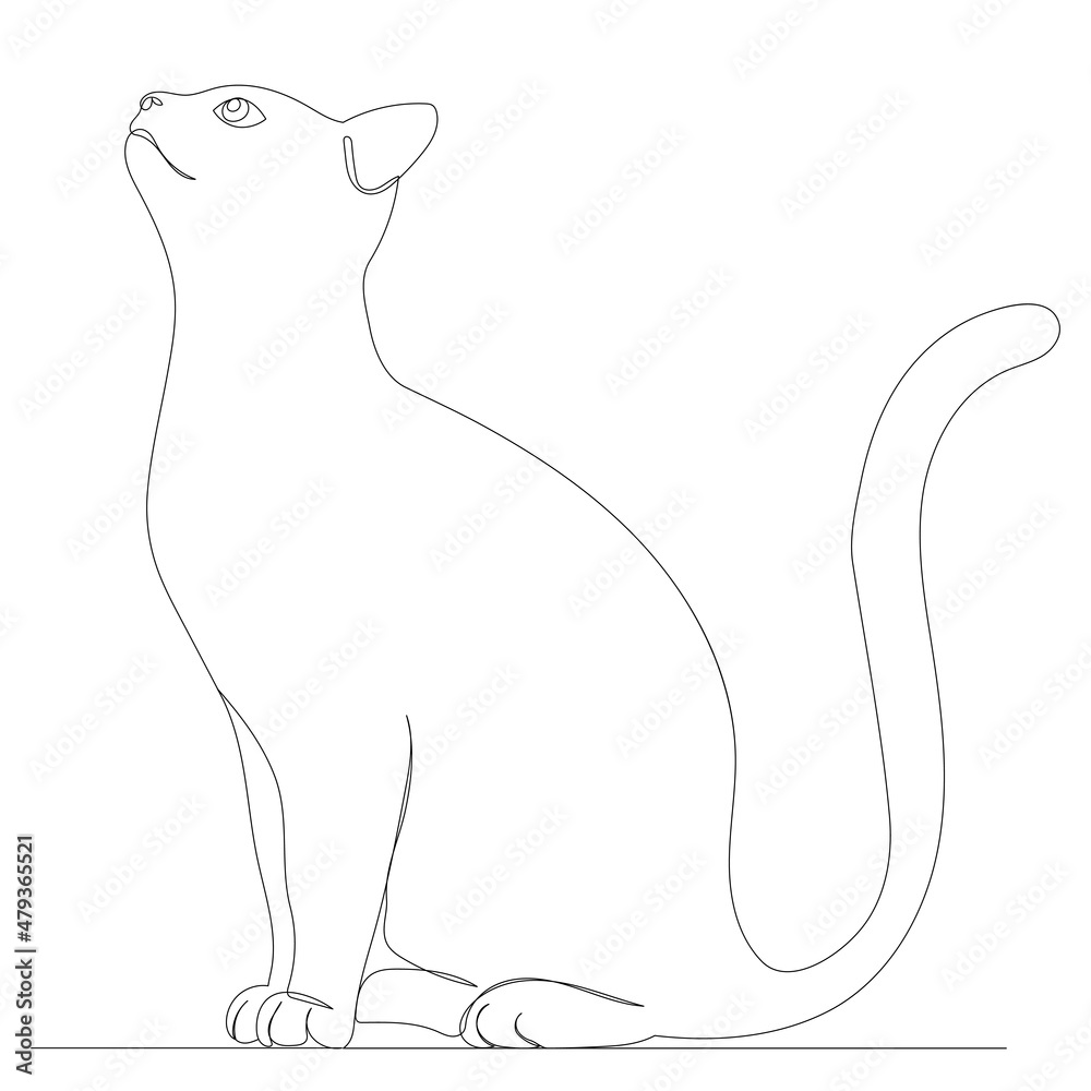 cat sit drawing by one continuous line, isolated, vector cat sit drawing by one continuous line, isolated, vector
