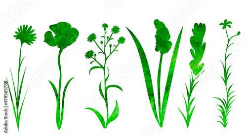 plants, flowers set watercolor silhouette, isolated, vector