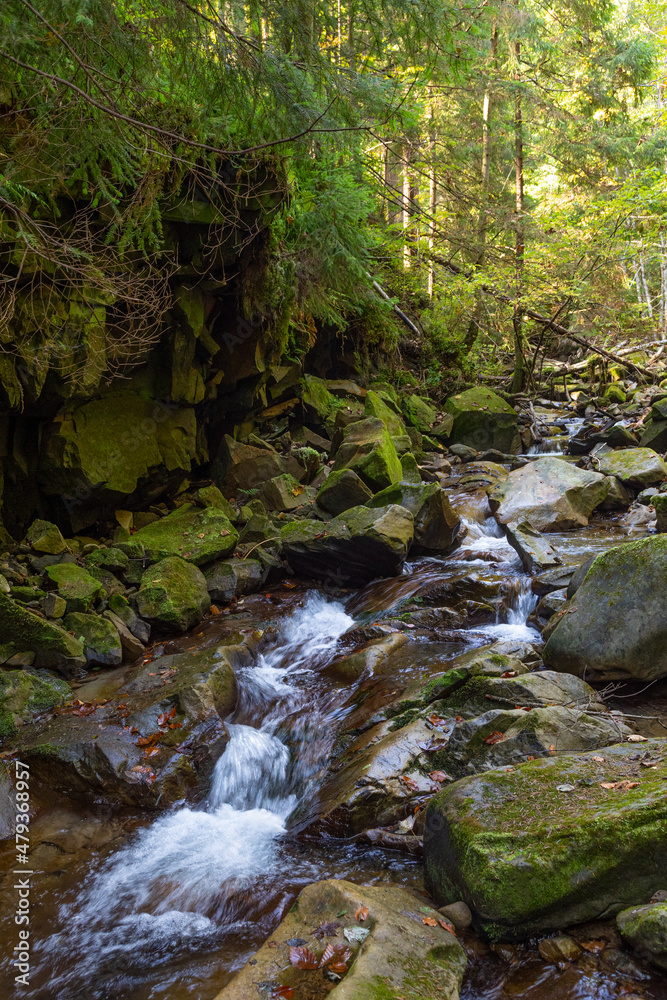 Obraz premium Fast forest mountain river in sunlight at autumn.