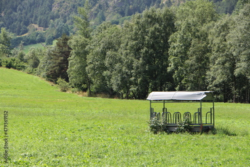 Campo de cultivo en verde