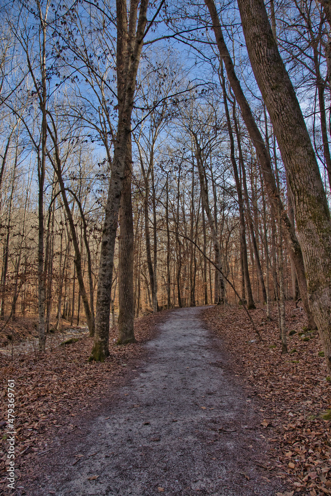 Fototapeta premium The lost valley trail. Buffalo National River, Arkansas.