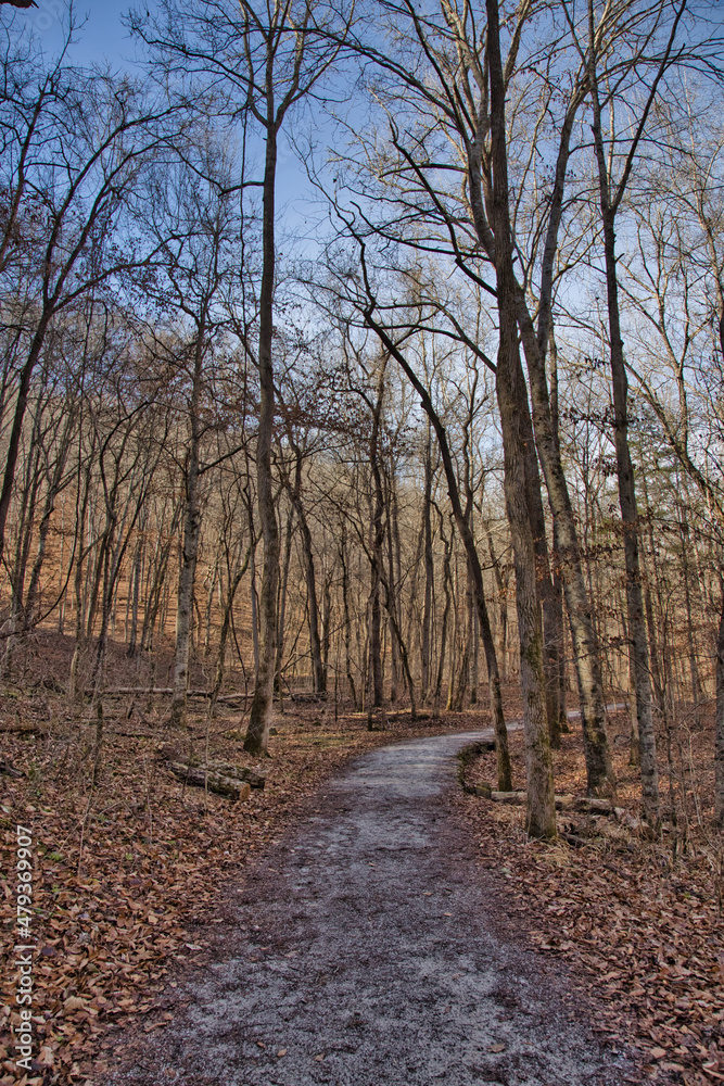 The lost valley trail. Buffalo National River, Arkansas. The lost valley trail. Buffalo National River, Arkansas.