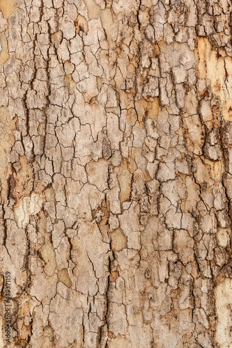 an wood colorful background texture