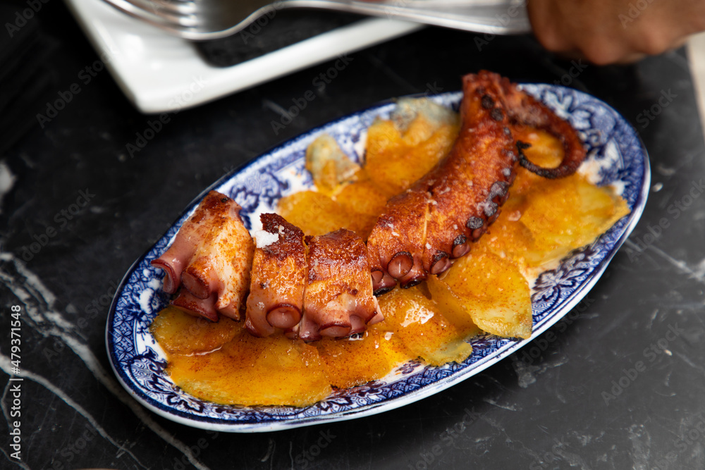 typical plate of grilled octopus with paprika and potatoes at the bar of a restaurant typical plate of grilled octopus with paprika and potatoes at the bar of a restaurant