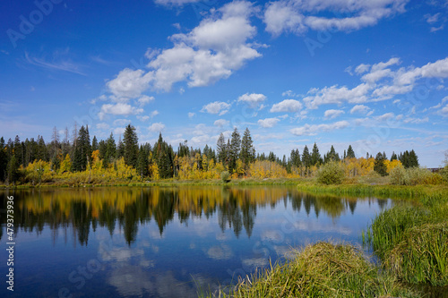 Pond reflecting the clouds and surrounded by fall color