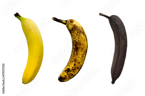 Fotografie Banana ripeness level, from fresh to rotten on white background