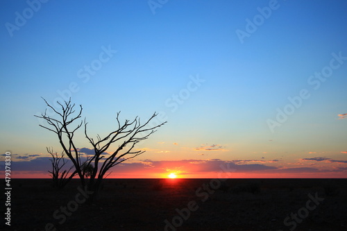 Sunset on the flat plain of Australian outback