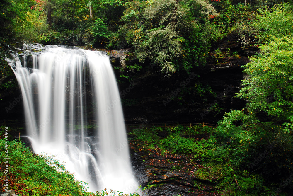 Obraz premium A serene waterfall flows in a lush forest in the Appalachian Mountains of North Carolina