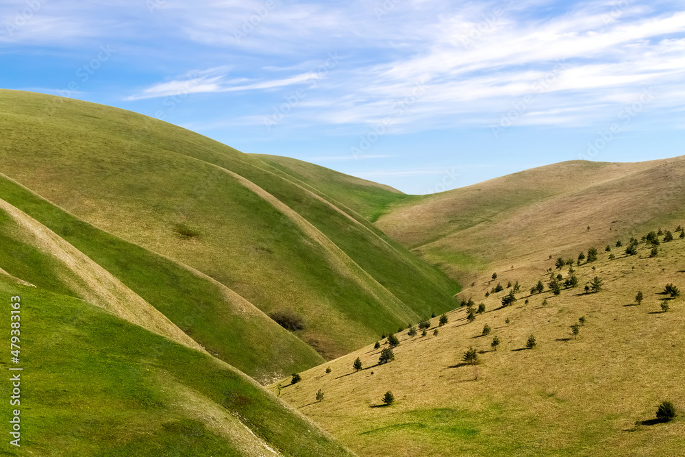 Obraz premium Mountain spring landscape. Green-yellow hills, trees and a bright blue sky with clouds.