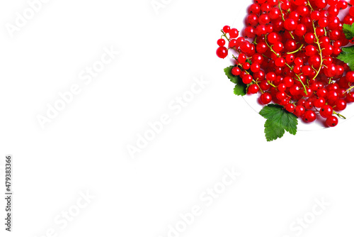 branches of red currants in a white wooden box on a white background, blank for creativity, selective focus