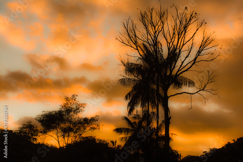 Céu Final da Tarde