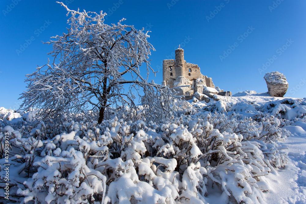 the ruins of the castle in Mirow in the winter, Jura Krakowsko Czestochowska region, Poland