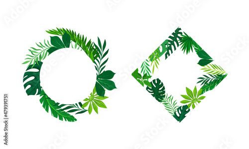 Shaped Frame with Green Leaves and Tropical Foliage Vector Set