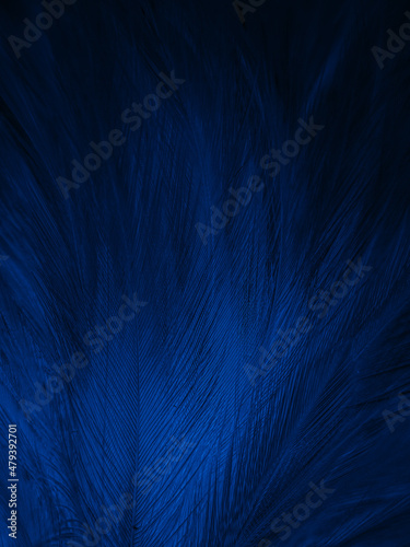 Beautiful abstract blue feathers on black background, black feather texture and blue background, feather wallpaper, blue texture banners, love theme, valentines day, light blue texture, dark gradient