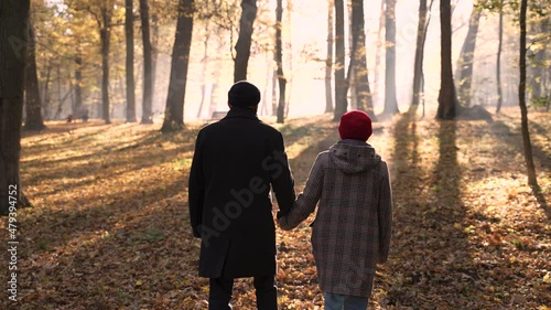 Back view of elderly couple walking hand in hand in autumn forest park. Senior couple enjoying joint leisure activity in nature on sunny autumn day, healthy positive lifestyle in old age concept