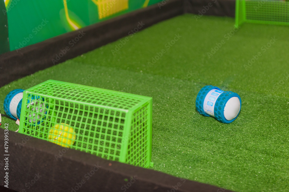 Fototapeta premium Mini Robot Scored a goal in a robot-controlled human match.