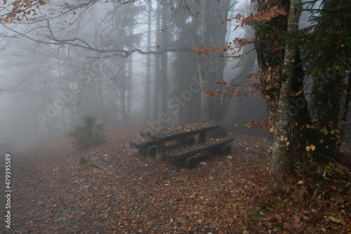 Autumn landscape with a bench under a tree, lots of gold leaves and foggy atmoshere depression